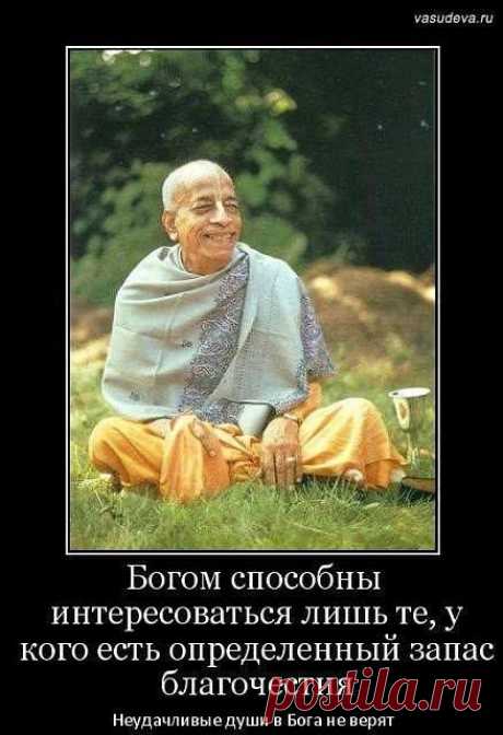 (4) Рамиль Джабраилов