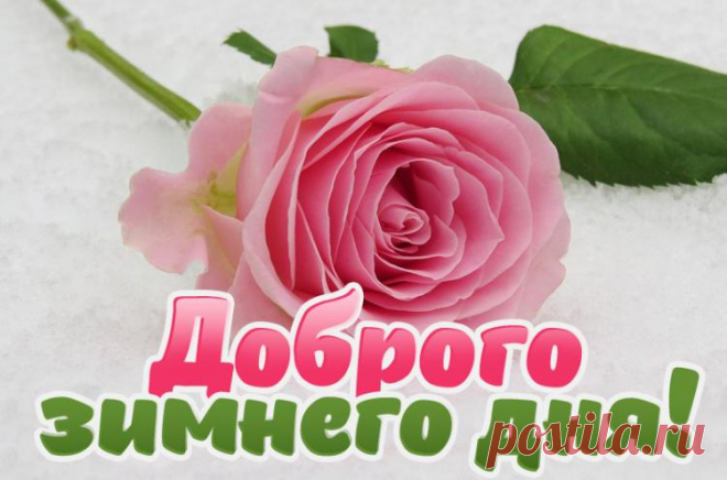 Доброго зимнего дня картинки, добрый день картинки красивые зимние