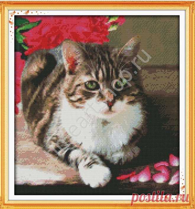 Любимый кот