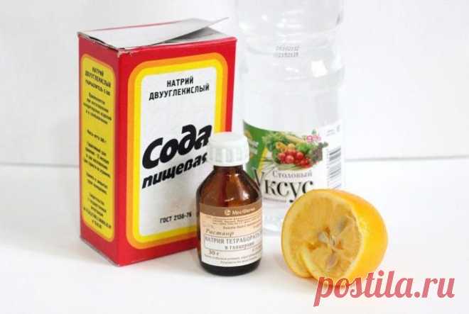 Проверенные методы избавления от плесени — Делимся советами