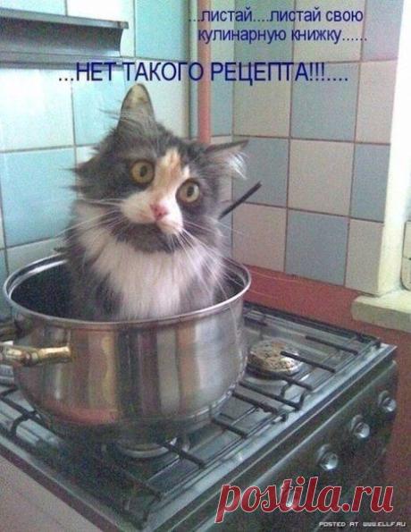 Новости