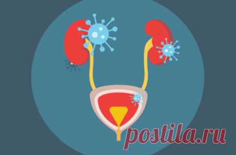 Инфекции мочевыводящих путей / Будьте здоровы