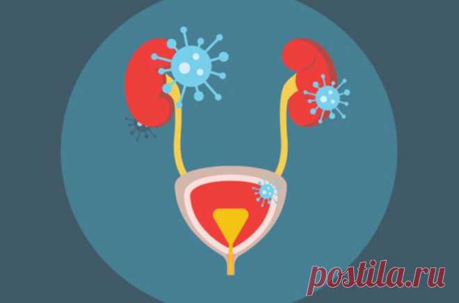 Инфекции мочевыводящих путей / Будьте здоровы