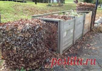 Листовой перегной: как приготовить и использовать