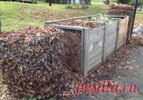 Листовой перегной: как приготовить и использовать