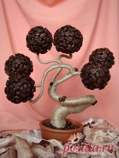 Кофейный баобаб. МК.