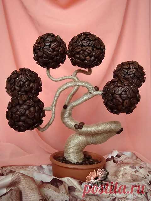 Кофейный баобаб. МК.