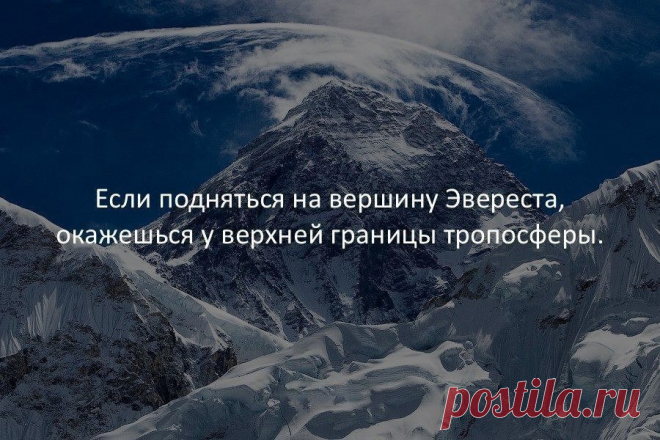 Наша Чудесная Планета: Наука и факты