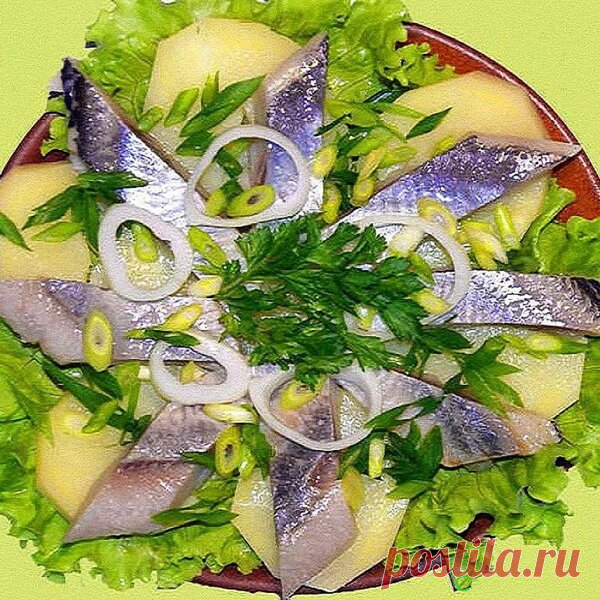 Праздничные рыбные нарезки. 10 вариантов оформления - Самые вкусные рецепты