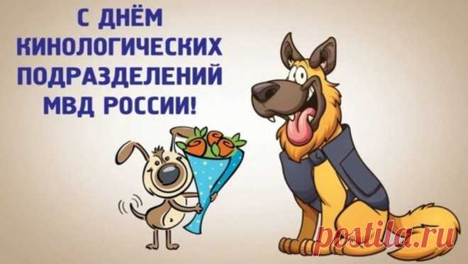 Пусть лохматые герои
Без проблем вас понимают,
Все команды и приказы
Непременно выполняют.
С Днем кинолога!