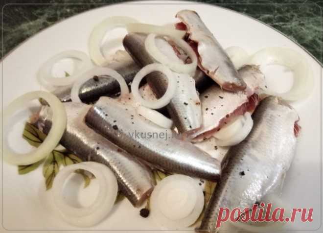 Маринованная салака