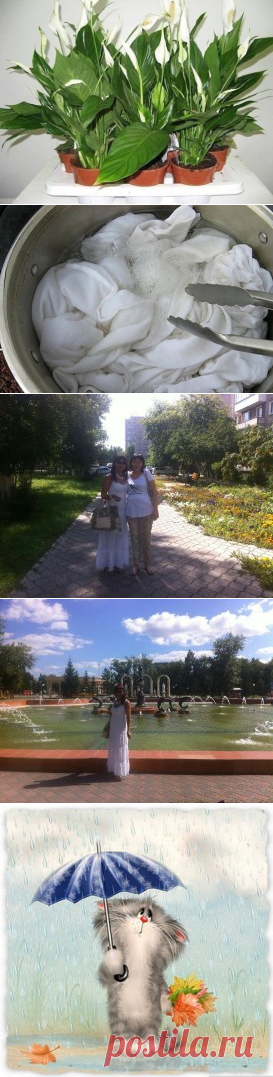 (45) Одноклассники