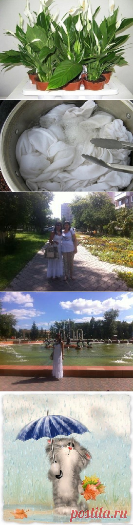 (45) Одноклассники