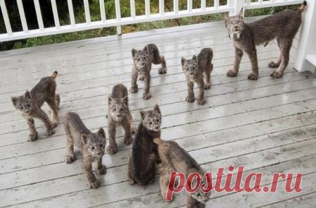 Доброе утро, человек!