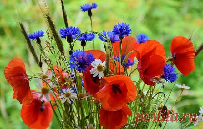 Медовый Спас 2018 - что нельзя делать на Маковея 14 августа, запреты и традиции | РБК Украина