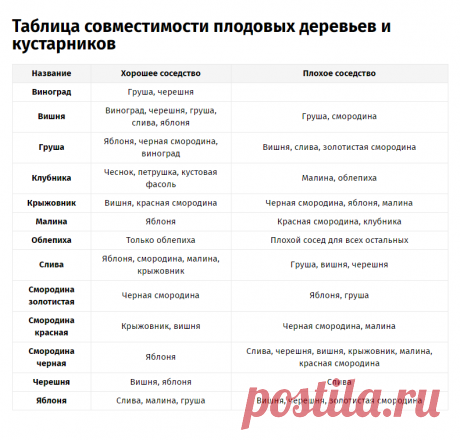 Плодовые деревья и кустарники в саду: таблица совместимости