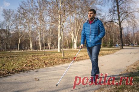 День белой трости. Меры социальной поддержки незрячих. В честь Международного дня белой трости рассказываем о мерах поддержки инвалидов по зрению и о том, как их жизнь может быть комфортнее.