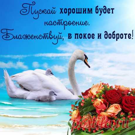 Дарите друг другу улыбки!
Встречайте свой день вы теплом!
Всегда наполняйте улыбкой,
Любовью и счастьем свой дом!