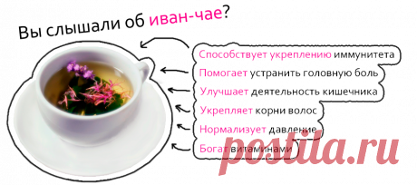 Об этом чае упоминается в исторических хрониках Руси. В старину в России пили совсем другие чаи. До появления в России обычного чая  как и в других странах Европы, был в большом почете русский чай или иван-чай, сырьем для которого служили листья кипрея, чай поставляли к императорскому столу и широко экспортировали за границу...Рецепт заваривания травы иван чай передавался из поколения в поколение, считался семейным секретом.