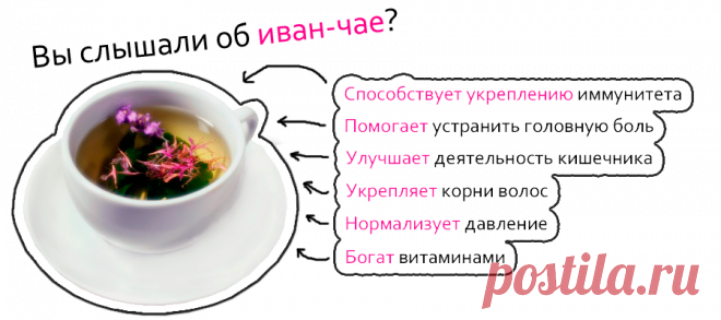 Об этом чае упоминается в исторических хрониках Руси. В старину в России пили совсем другие чаи. До появления в России обычного чая  как и в других странах Европы, был в большом почете русский чай или иван-чай, сырьем для которого служили листья кипрея, чай поставляли к императорскому столу и широко экспортировали за границу...Рецепт заваривания травы иван чай передавался из поколения в поколение, считался семейным секретом.