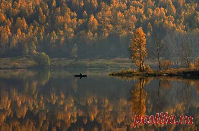 (91) Facebook