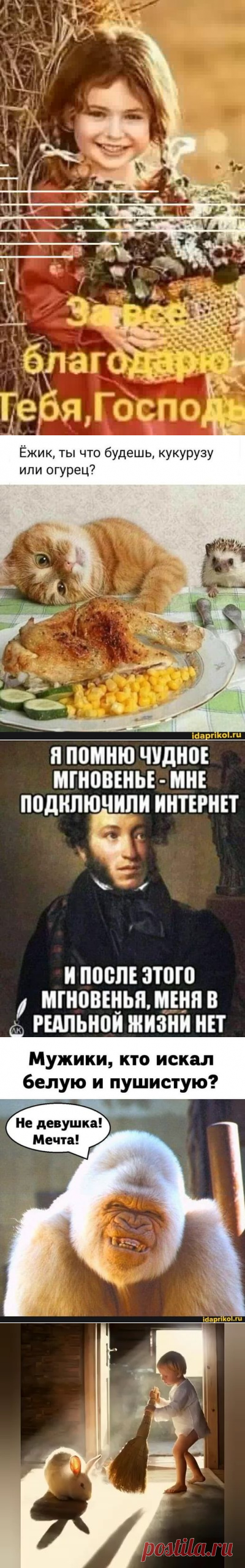 (11) 👍🤣 ДЛЯ НАСТРОЕНИЯ 🥰 | Facebook