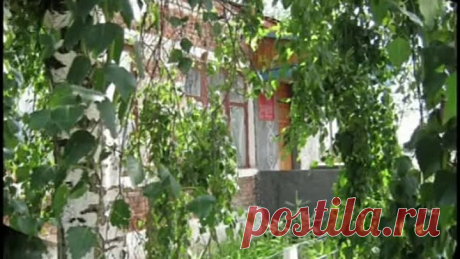 2014 Макашевка