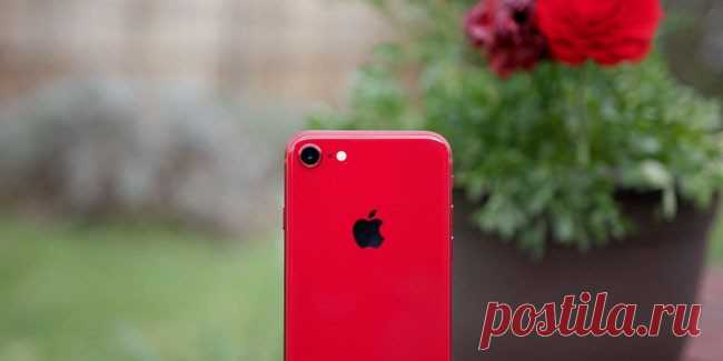 iPhone SE 2020 можно будет заказать в начале апреля | Super-Blog