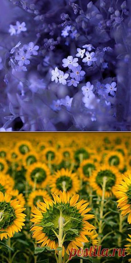 500px / Editor's Choice