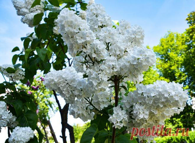 Красивые профессиональные фото, оригинальная художественная фотография – Социальная сеть ФотоКто