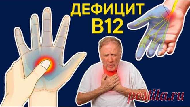 Что творит ДЕФИЦИТ B12 с организмом? В чем причина? Как бороться с дефицитом?