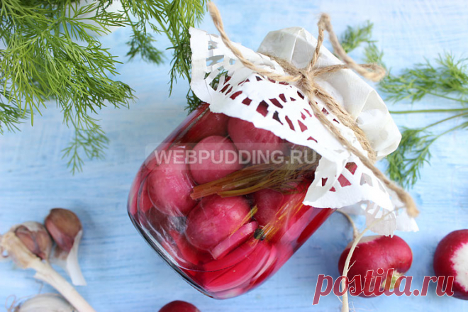 Маринованный редис на зиму | Как приготовить на Webpudding.ru
