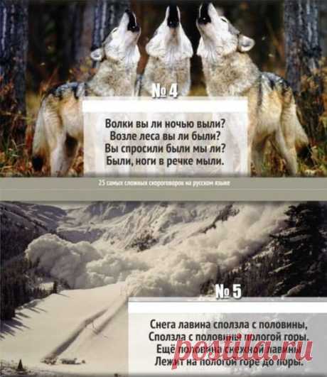 Наташа Мадяр