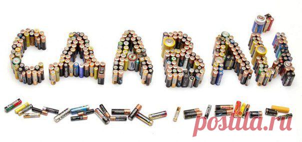 Жизнь в стиле ECO