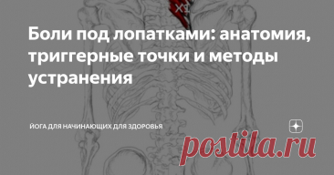 Боли под лопатками: анатомия, триггерные точки и методы устранения Статья автора «Йога для начинающих для здоровья» в Дзене ✍:    Если Вас преследуют ноющие, пульсирующие ощущения под лопаткой или вокруг неё, возможно, причина кроется не в обычном мышечном...
