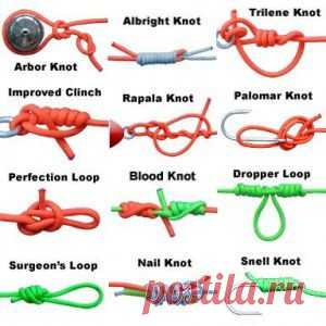 Рыболовные узлы и как их правильно вязать | «Рыбалка» - fisherman2000.mirtesen.ru