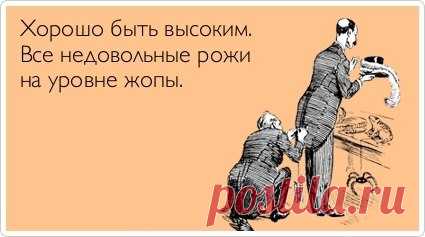 Фотографии на стене сообщества – 38 331 фотография