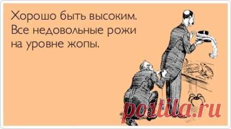 Фотографии на стене сообщества – 38 331 фотография