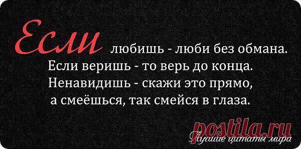 Einsamer Wolf 3: Surf Rider