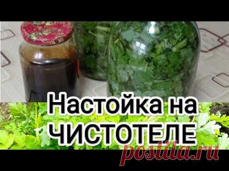 СПРАШИВАЛИ ? Рассказываю и показываю как сделать НАСТОЙКУ на ЧИСТОТЕЛЕ.