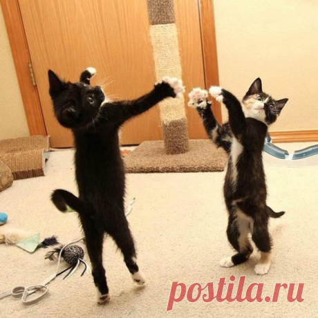 Вместе веселей!