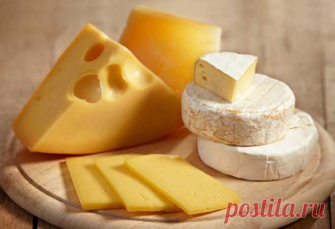 10 жирных продуктов, от которых организму сплошная польза