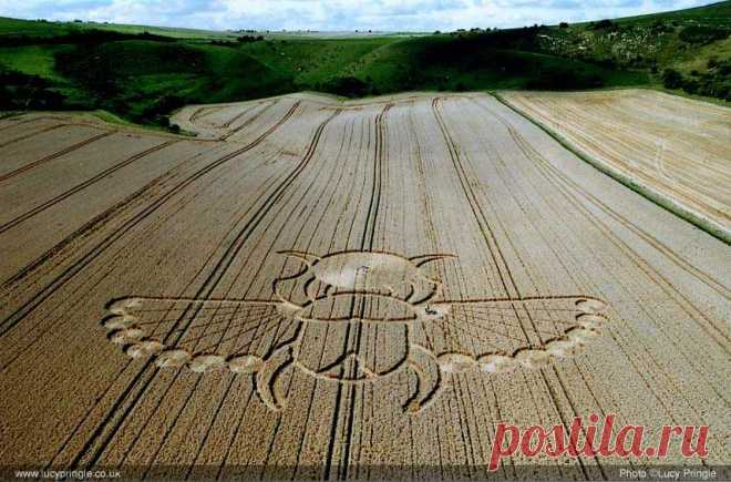 знак скарабея: 10 тыс изображений найдено в Яндекс.Картинках