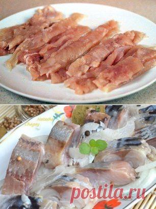 (20) Одноклассники