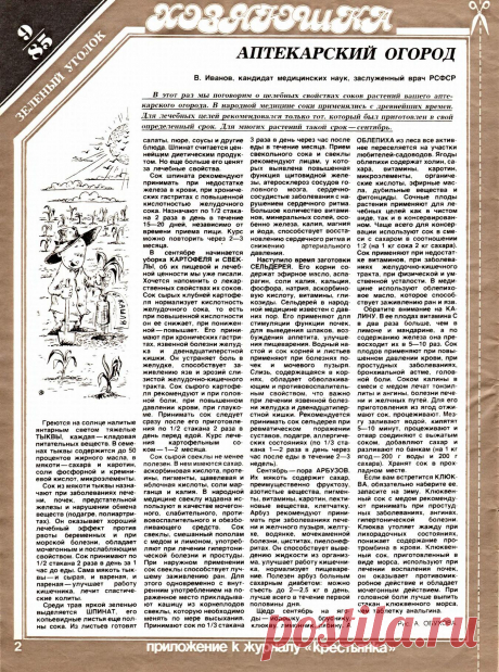 Аптекарский огород