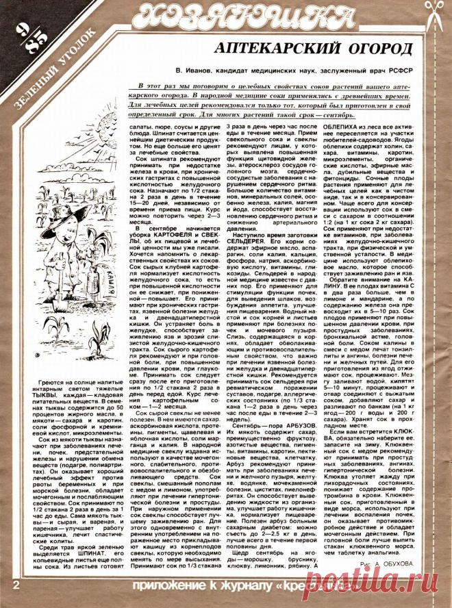 Аптекарский огород