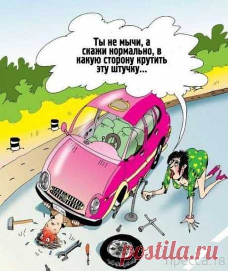 Самые интересные и смешные Анекдоты
