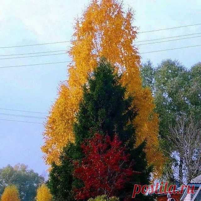 Photo by HANDMADE💯| ИДЕИ | ВДОХНОВЕНИЕ on September 17, 2019.