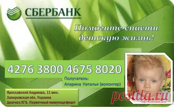 РИСУЕМ ЖИЗНЬ! Андрюша Ярославский, сбор до 12.12