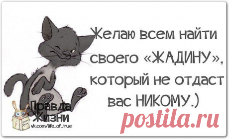 Интересные новости
